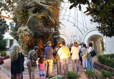 La última jornada del Festival Flora, en imágenes