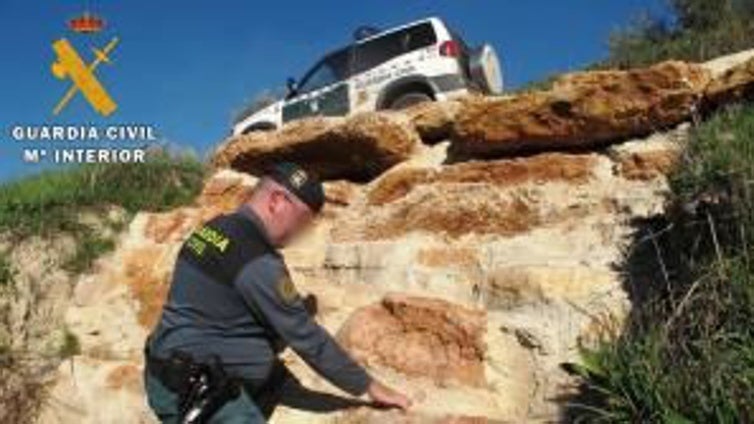 La jueza de Priego procesa al dueño de un olivar por el expolio de placas fósiles del Geoparque de las Subbéticas