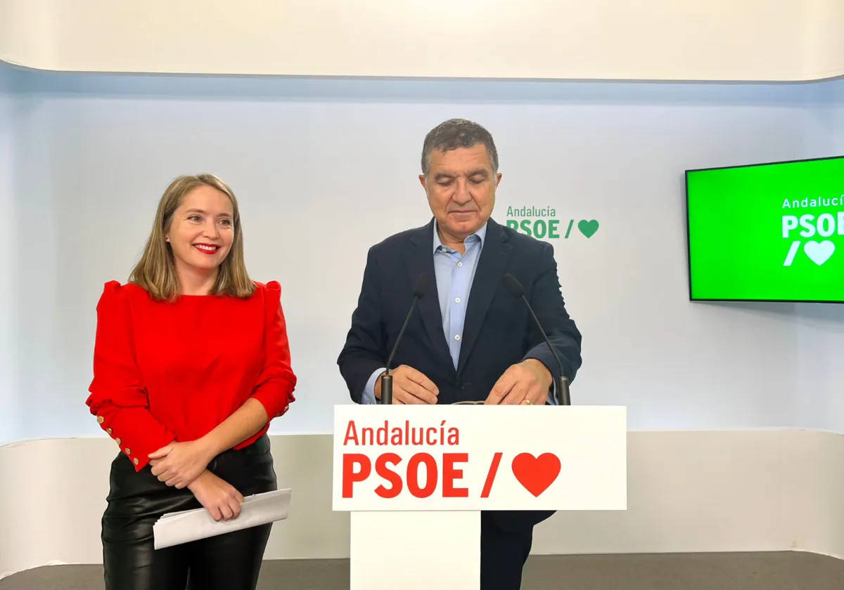 Los diputados del PSOE Alicia Murillo y Gaspar Llanes