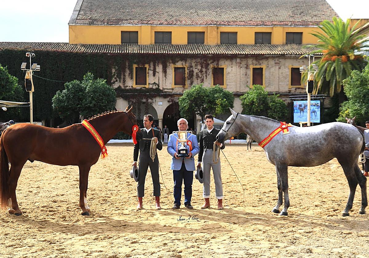 III Campeonato de España Hispano Árabe puso el broche final a Cabalcor