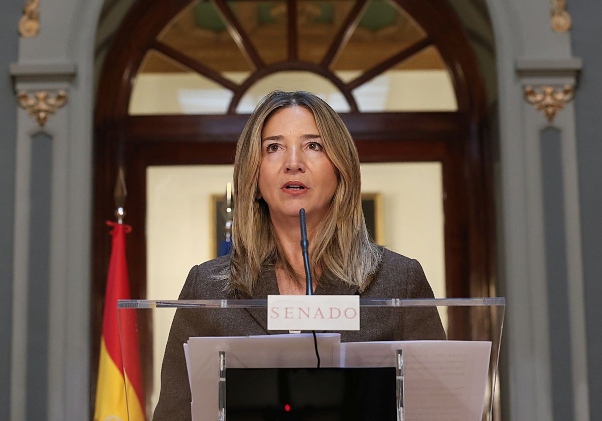 La portavoz del PP en el Senado, Alicia García