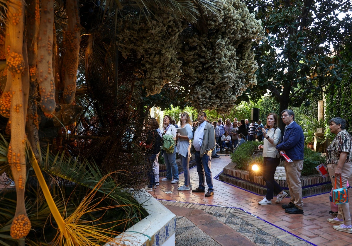 Asistentes a la instalación floral ganadora que se ubicaba en el Patio del Reloj de la Diputación de Córdoba