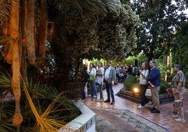 Uno de cada tres visitantes del Festival Flora 2024 era turista, y en mayor número, mujeres