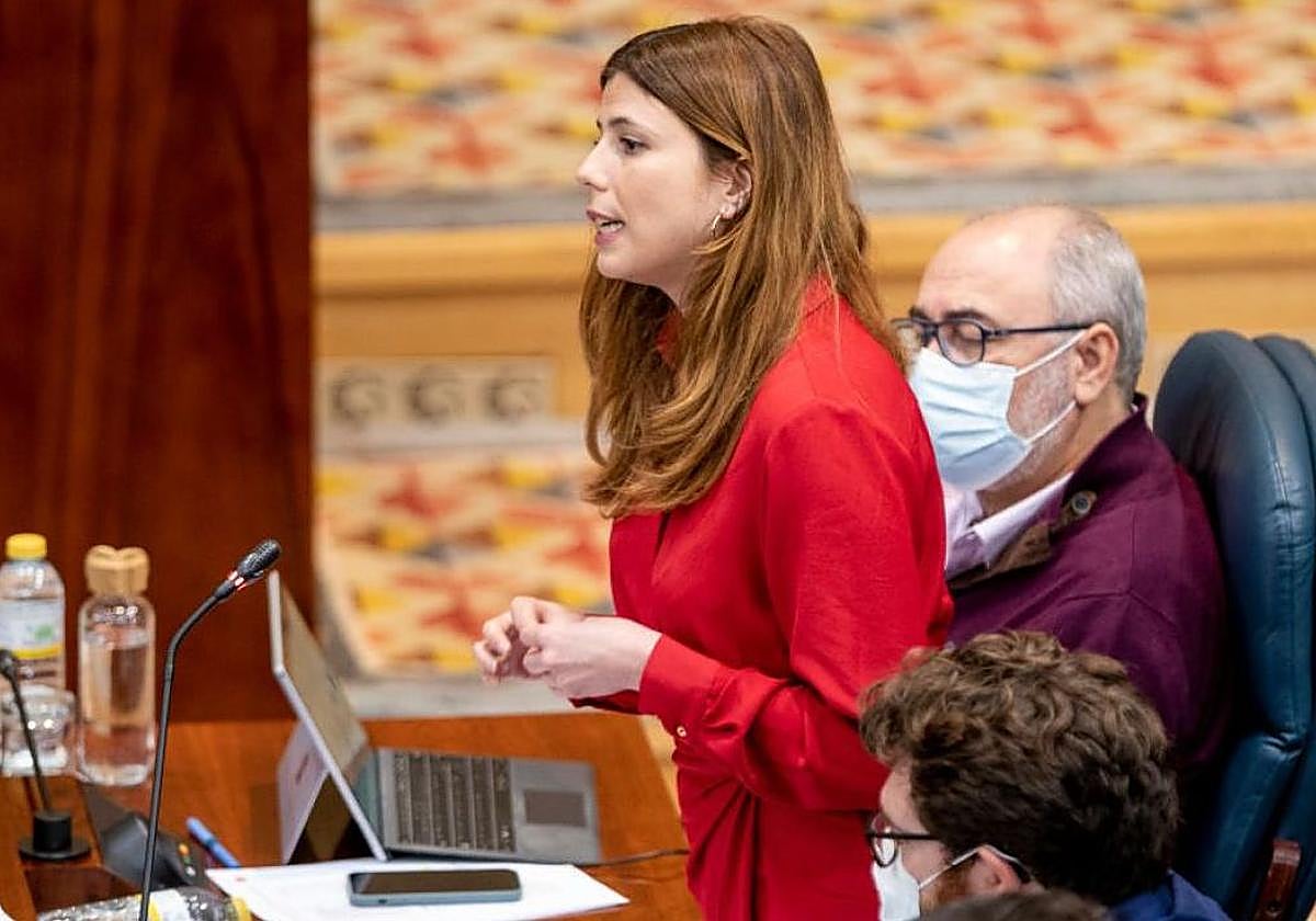 Loreto Arenillas, en una imagen de archivo, en la Asamblea de Madrid
