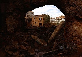 «Letur se convirtió en un tsunami»