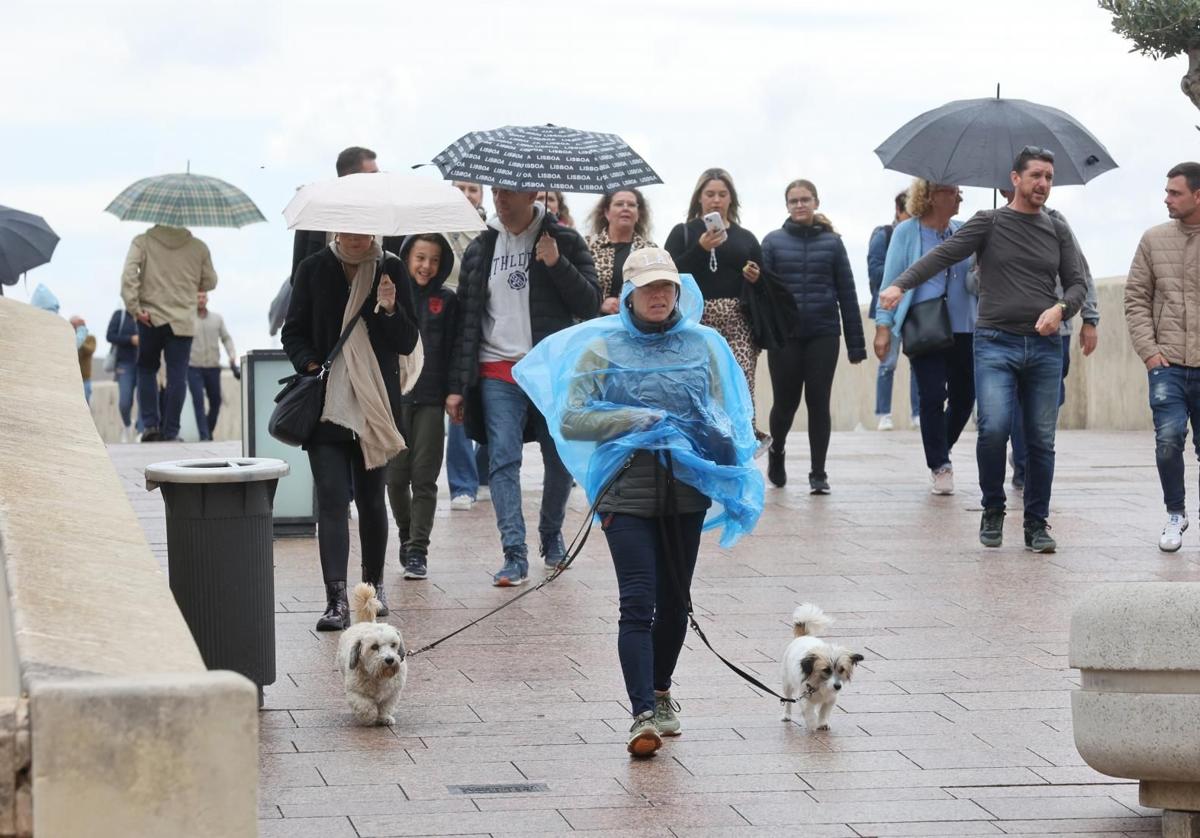 Tudistas bajo paraguas por el Puente Romano de Córdoba