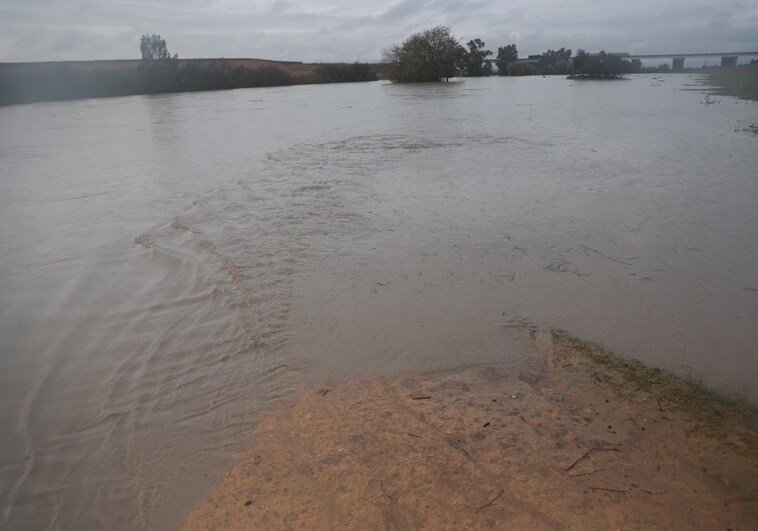 guadiana-temporal-Rcpff6obxGzlpFMfkIuAzxI-758x531@diario_abc.JPG