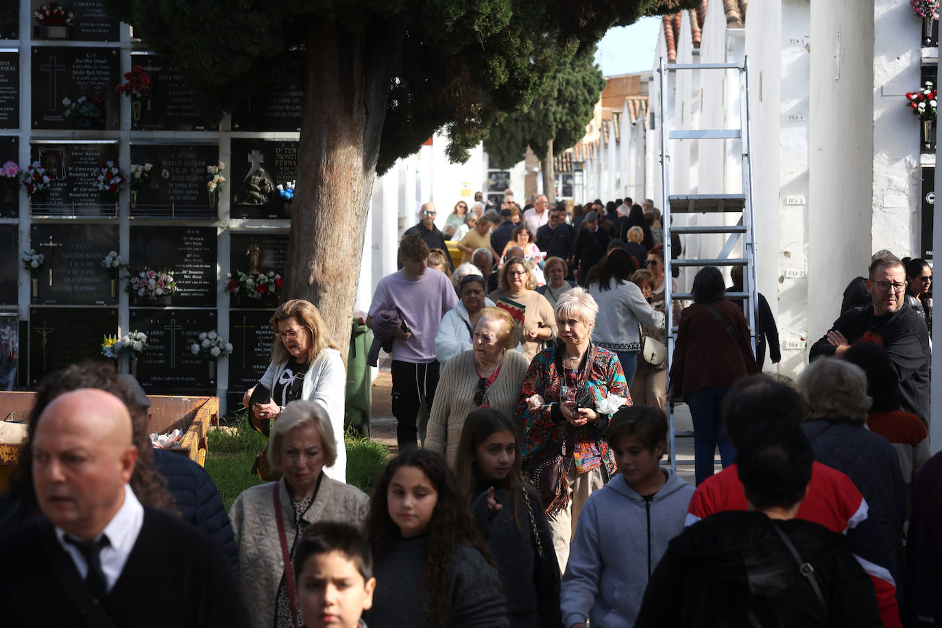 El eterno recuerdo a los difuntos en Córdoba el Día de Todos los Santos, en imágenes