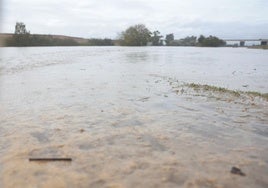 Se reducen a cinco las carreteras cortadas en Andalucía por la DANA