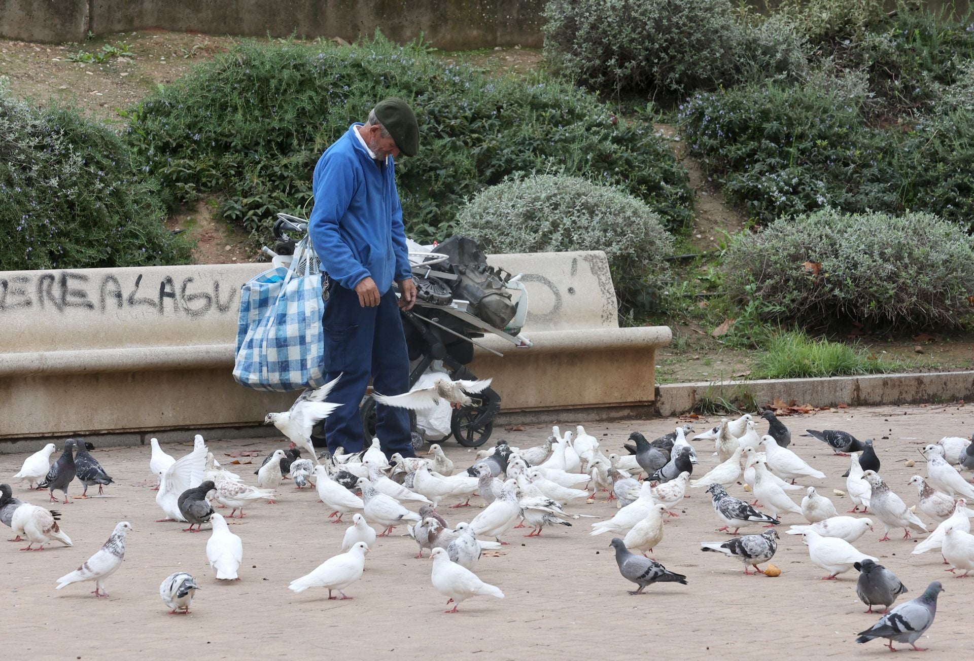 La vida en el Sector Sur y el Guadalquivir, dos de los barrios más pobres de España, en imágenes