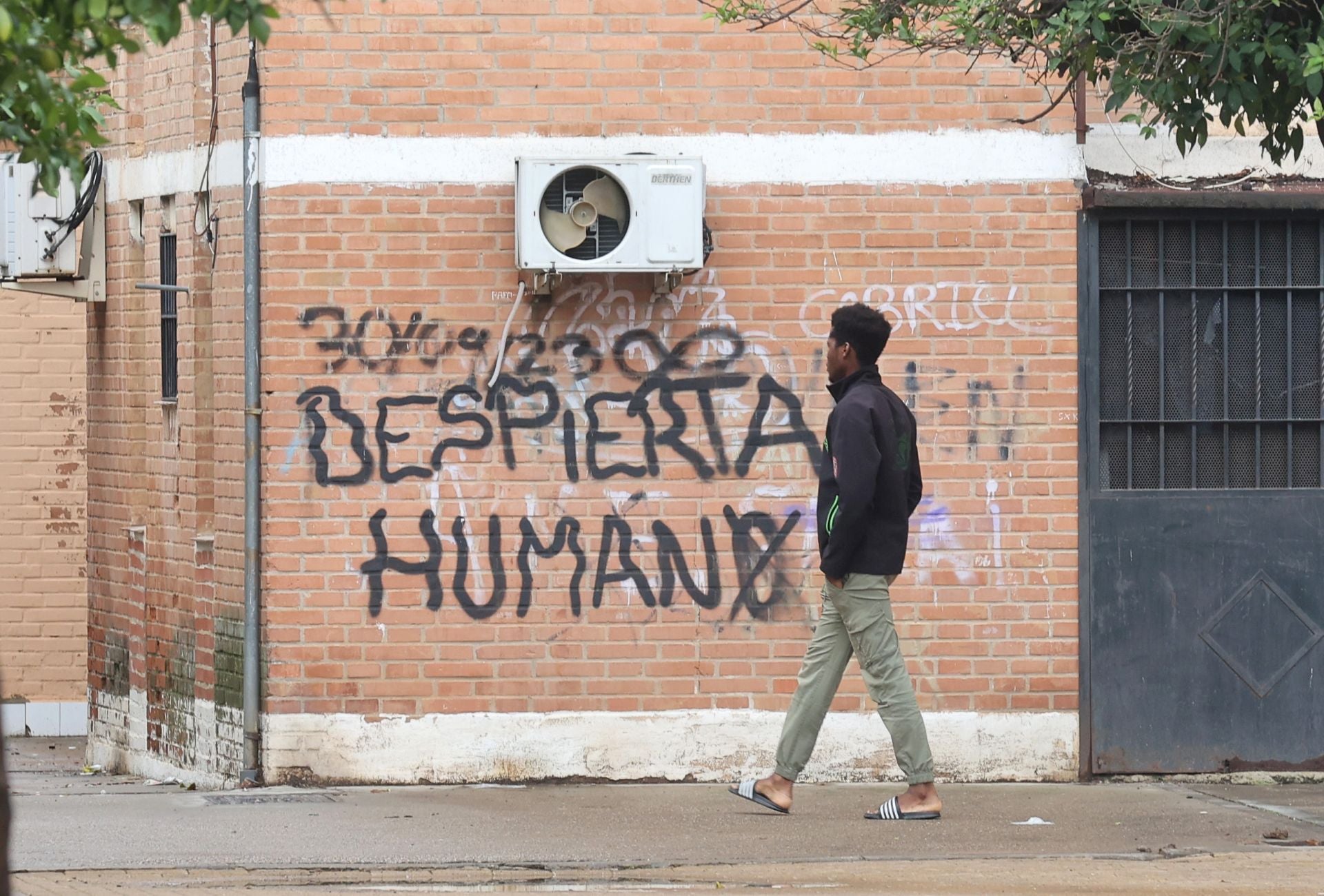 La vida en el Sector Sur y el Guadalquivir, dos de los barrios más pobres de España, en imágenes