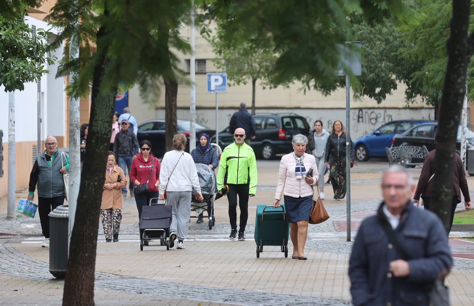 La vida en el Sector Sur y el Guadalquivir, dos de los barrios más pobres de España, en imágenes