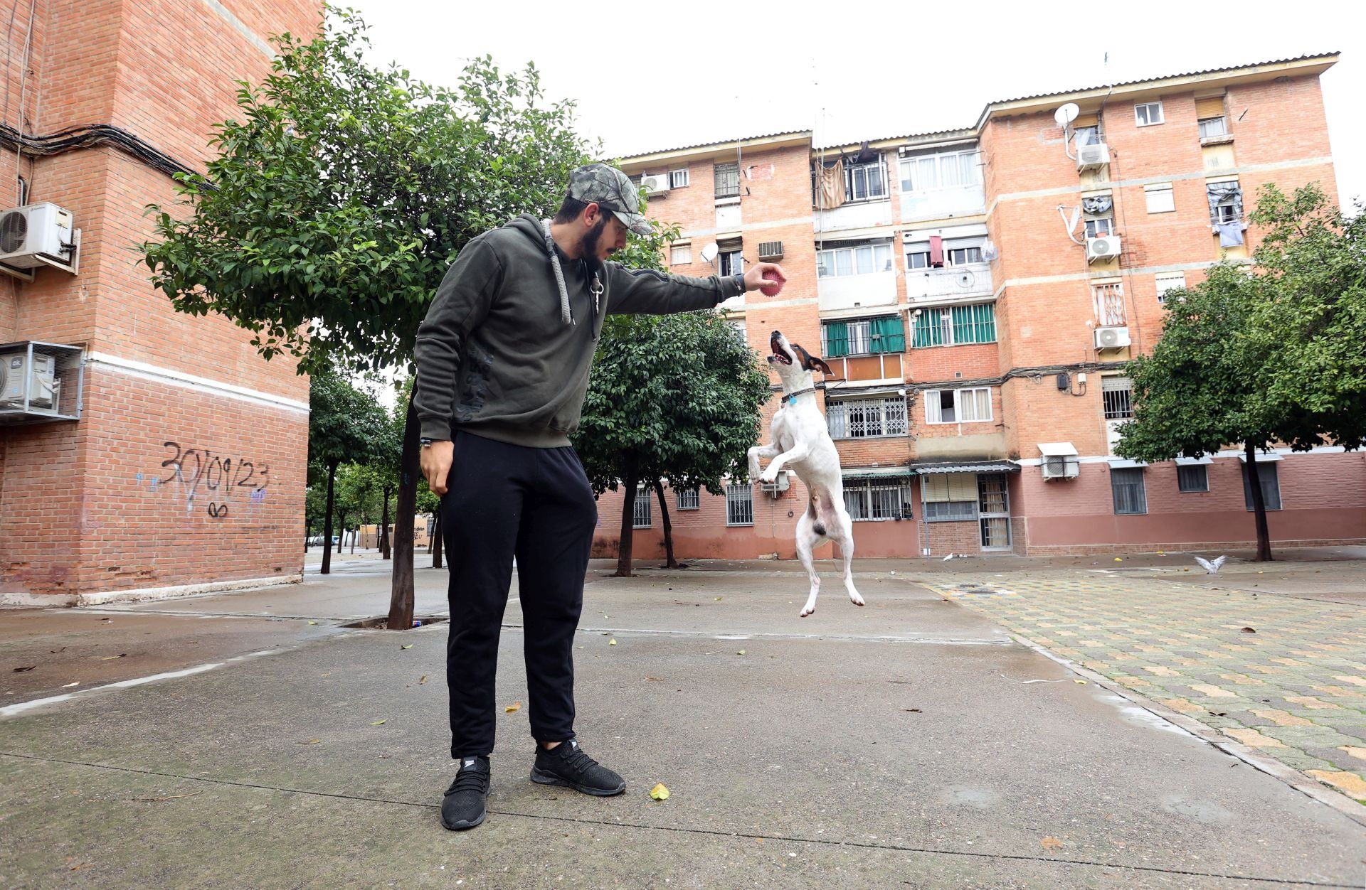 La vida en el Sector Sur y el Guadalquivir, dos de los barrios más pobres de España, en imágenes