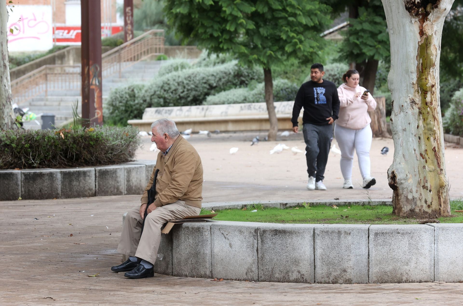 La vida en el Sector Sur y el Guadalquivir, dos de los barrios más pobres de España, en imágenes