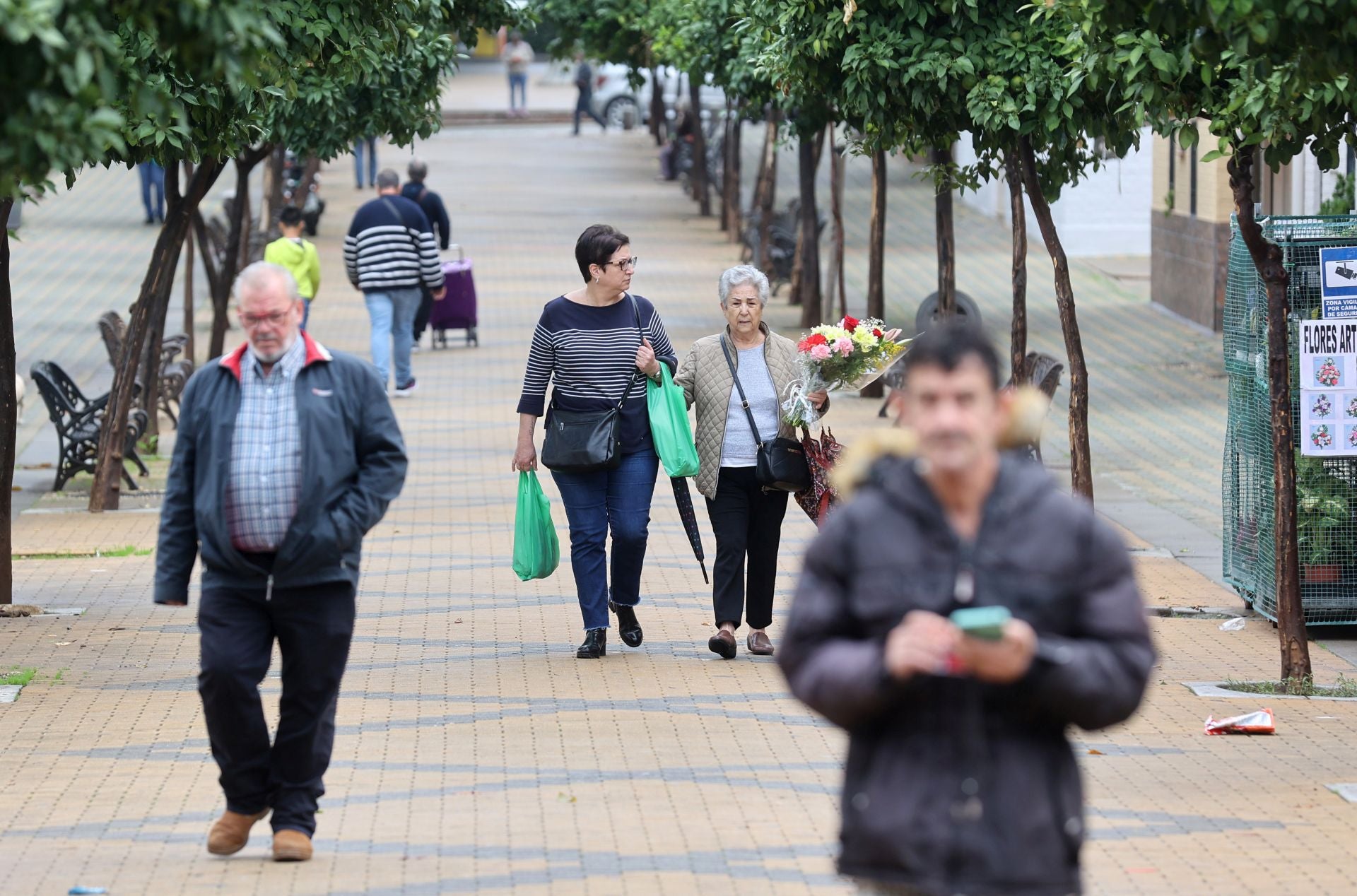 La vida en el Sector Sur y el Guadalquivir, dos de los barrios más pobres de España, en imágenes