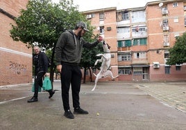 Sector Sur y barrio del Guadalquivir de Córdoba: el contraste entre vida y pobreza