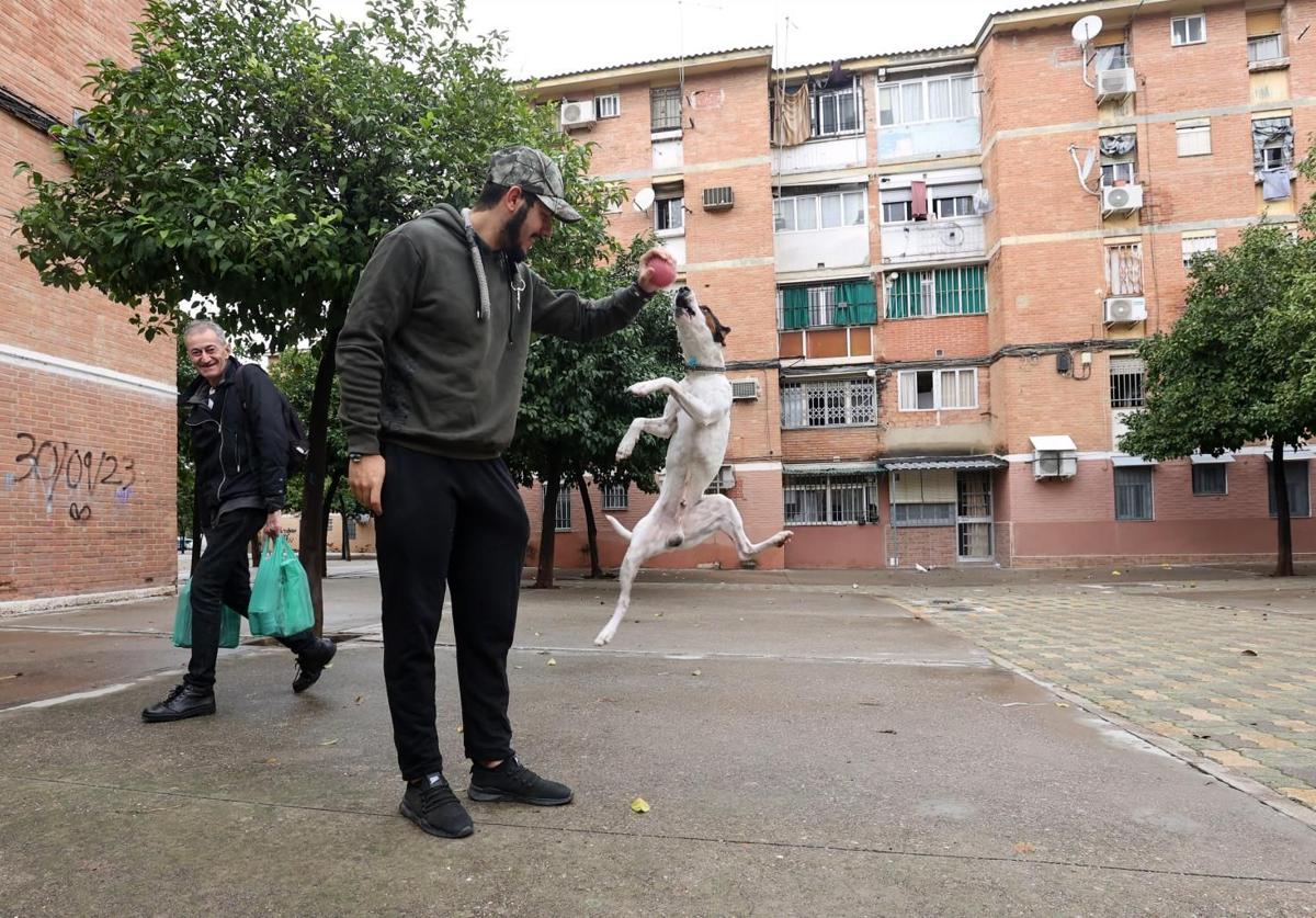 Un vecino del Sector Sur juega con su perro ante la mirada de un viandante