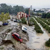 Balance de daños de la DANA: 285 municipios andaluces afectados con 1.841 incidencias