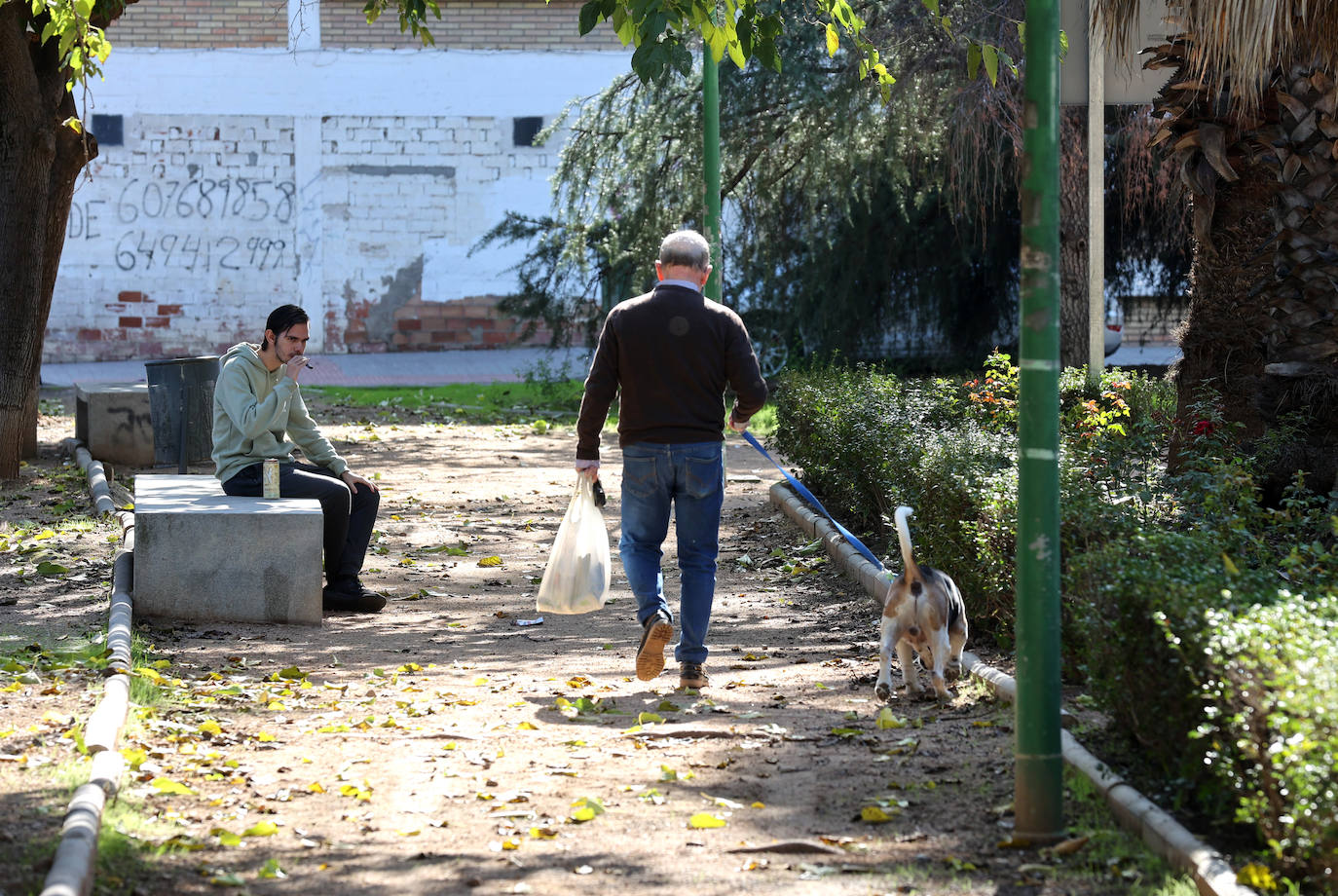 El deterioro del barrio de la Huerta de la Reina de Córdoba, en imágenes