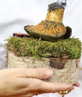 Imagen secundaria 2 - Arriba, Concurso de San Lesmes, en Burgos. Sobre estas líneas, Campeonato de Tapas y Pinchos 'Memorial Erika Sánchez Adán', que tiene lugar en Palencia, y elaboración del Concurso Oficial de Pinchos y Tapas de Castilla y León