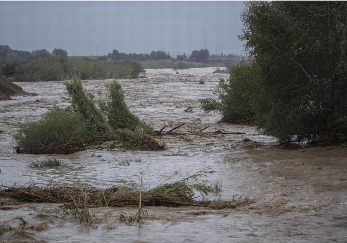 Crecida del río Magro a la altura de Alfarp (Valencia), el 29 de octubre por la DANA