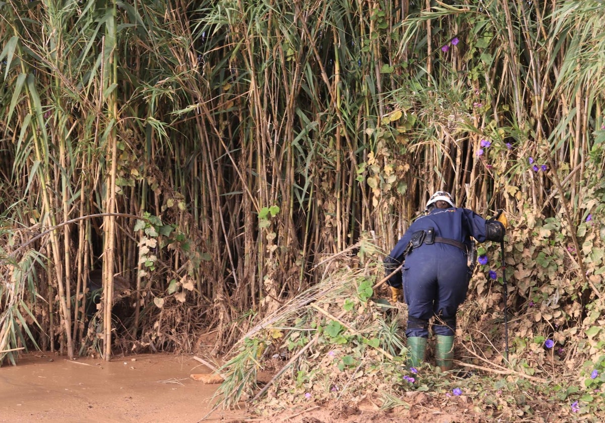 Labores de búsqueda de desaparecidos por la DANA en Valencia