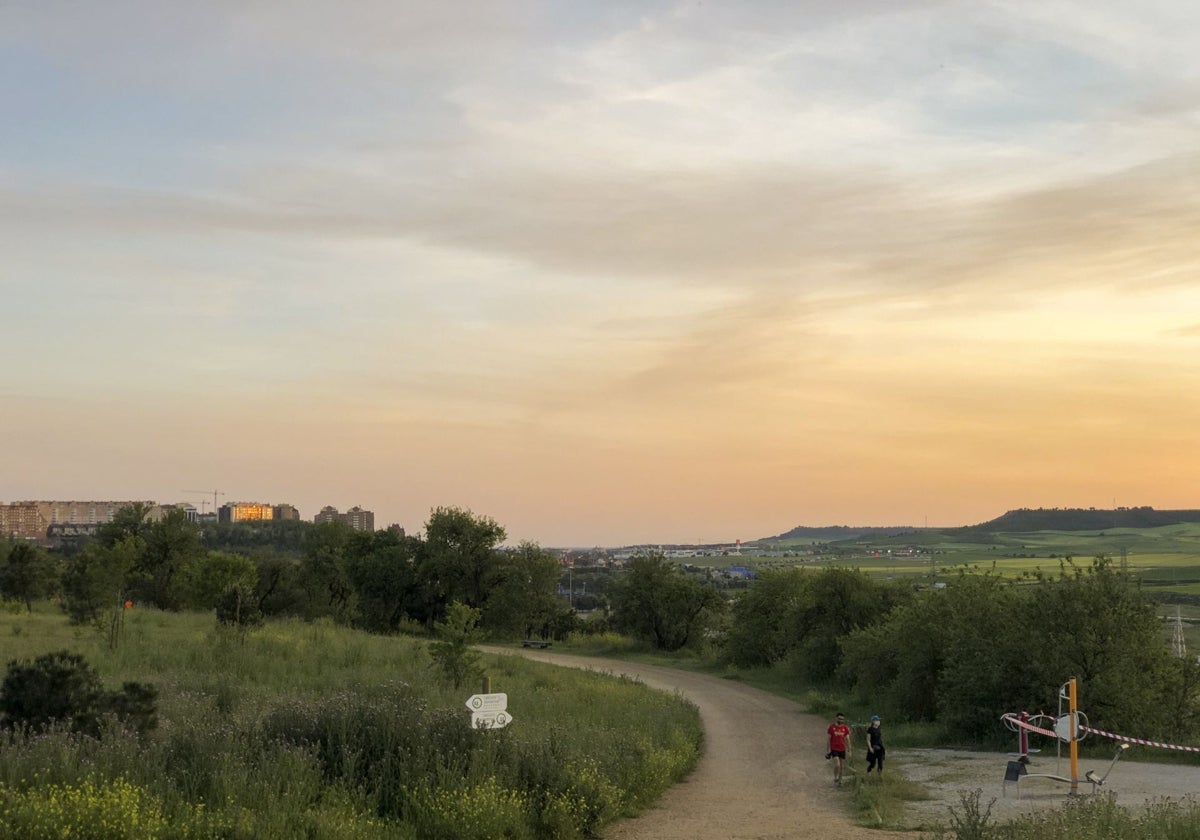 Parque vallisoletano de Las Contiendas, donde se produjo el hallazgo hace casi un año
