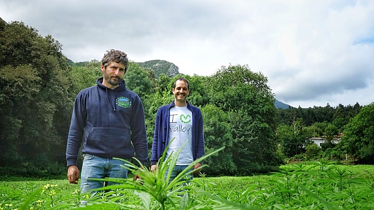 David Cárcaba y Fernando Vela, de Cañamo Valley, en su finca de cáñamo industrial