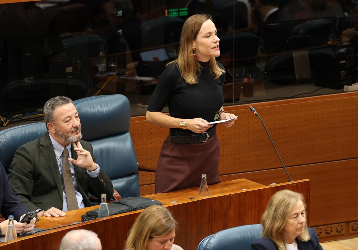 La portavoz de Vox en la Asamblea de Madrid, Isabel Pérez Moñino