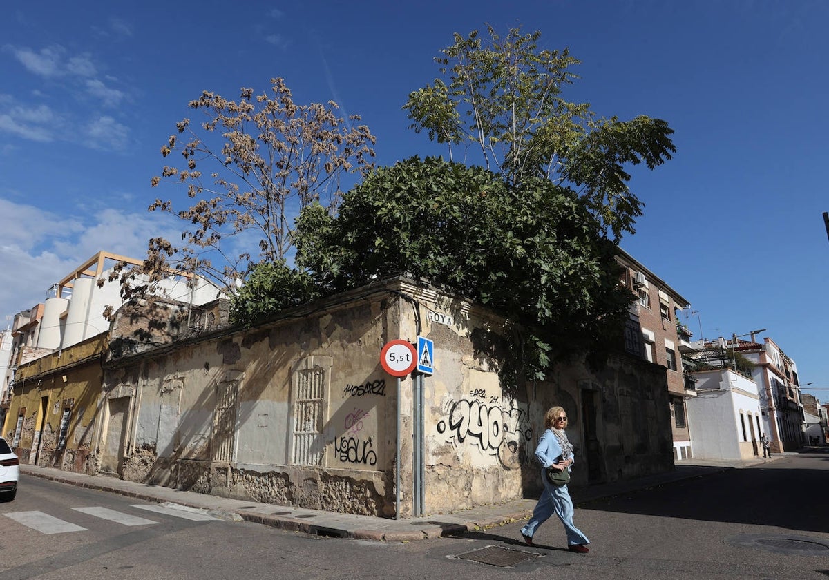 El deterioro del barrio de la Huerta de la Reina de Córdoba, en imágenes