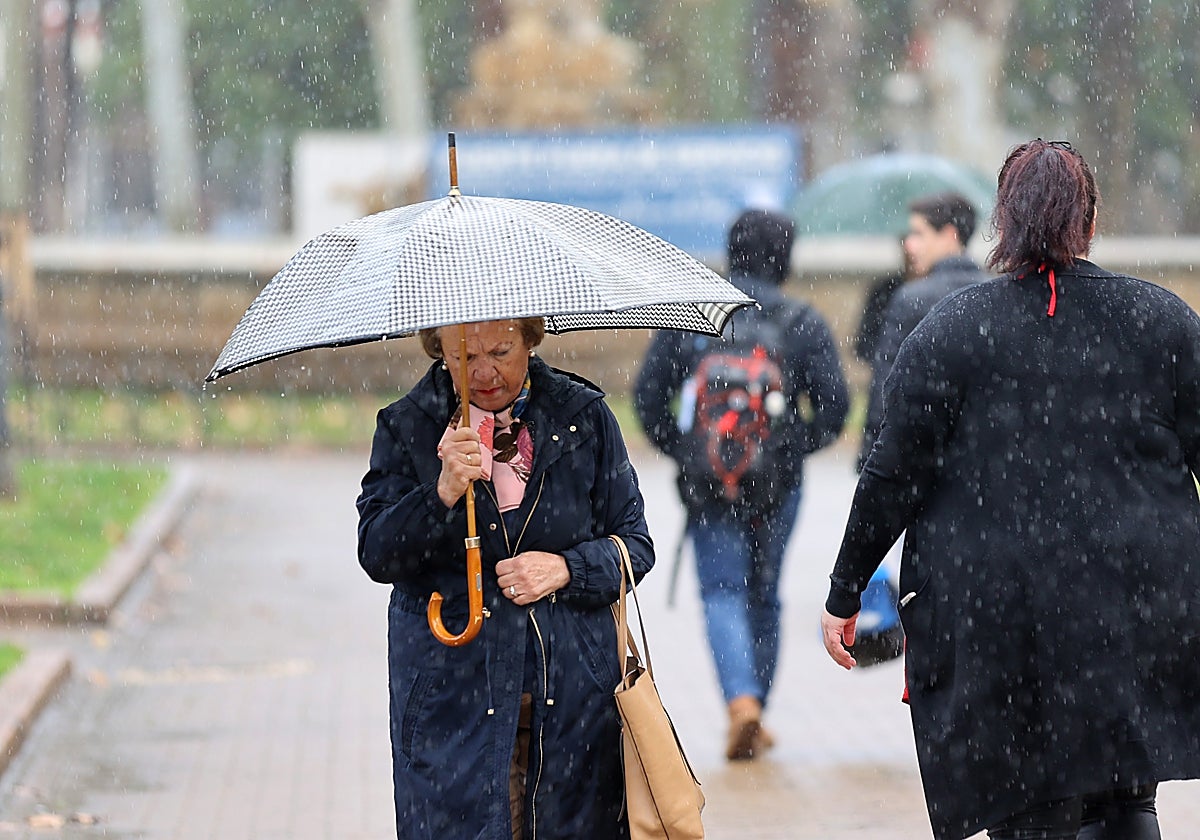 Una señora se cubre con un paraguas por la lluvia en un parque de Córdoba