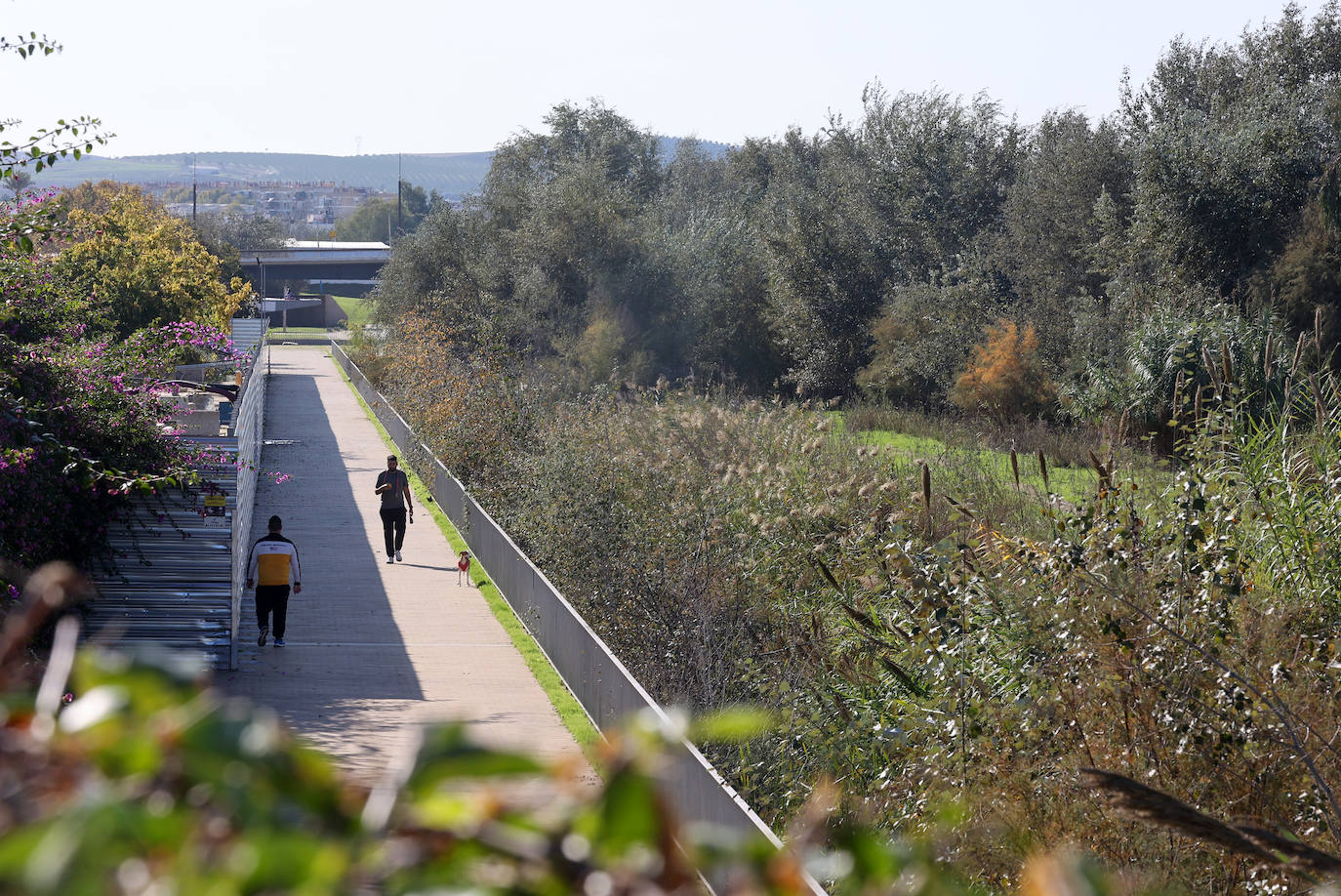 El descuido y la suciedad del Guadalquivir en Córdoba, en imágenes