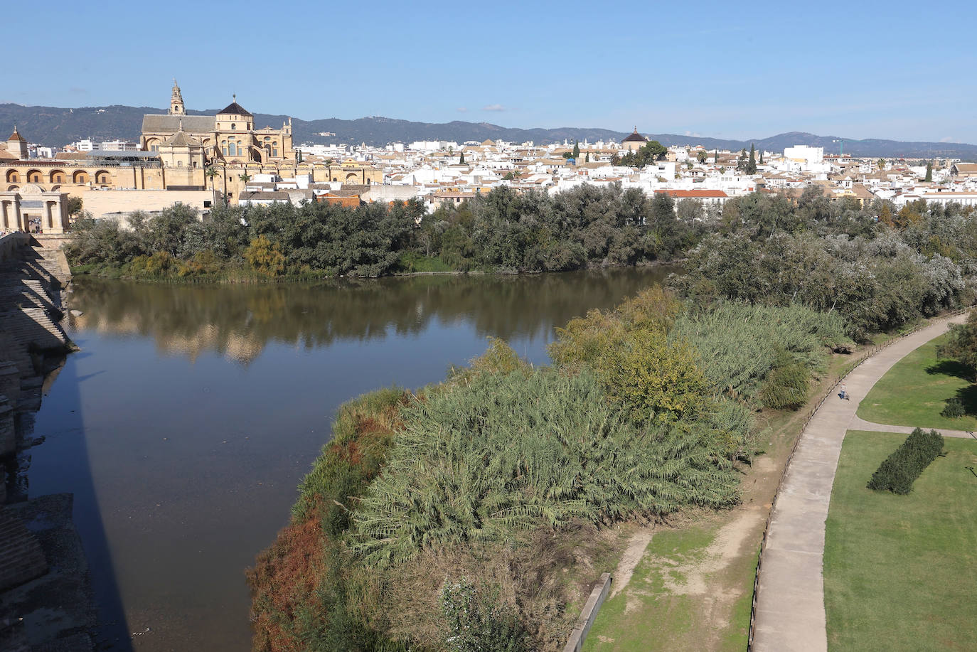 El descuido y la suciedad del Guadalquivir en Córdoba, en imágenes