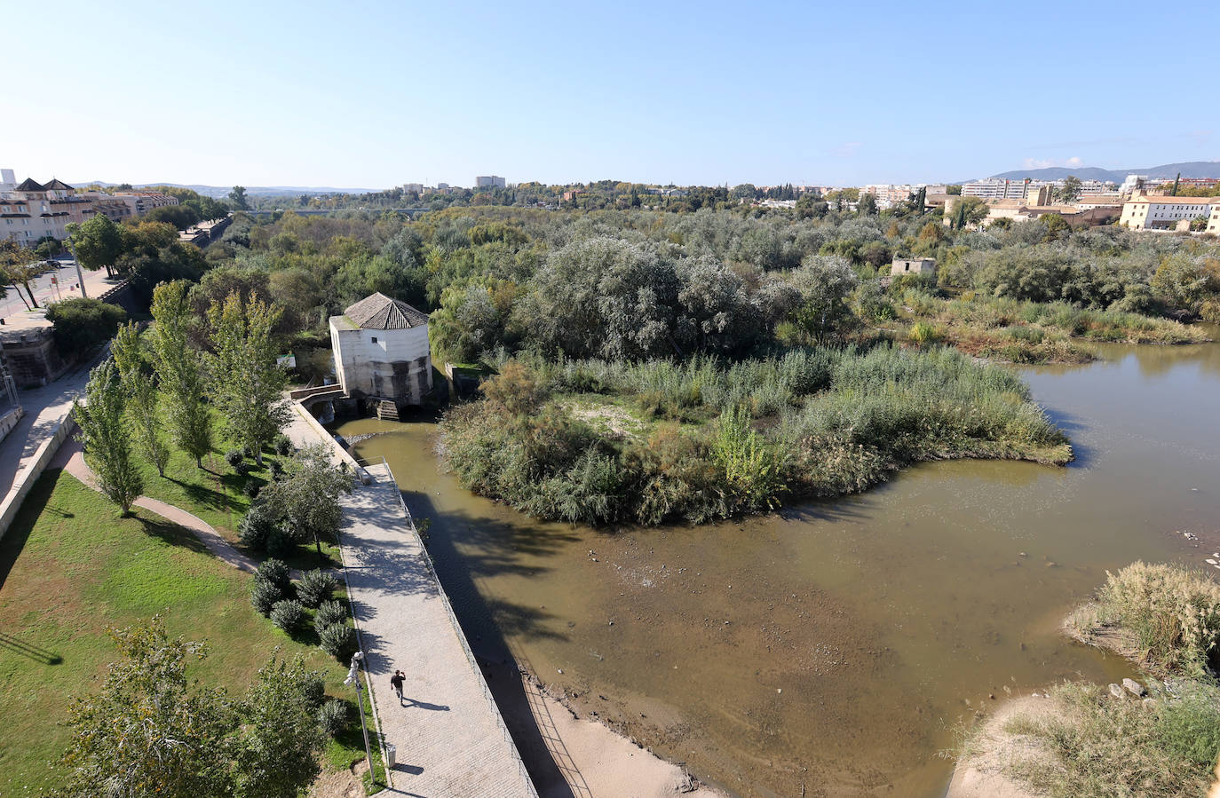 El descuido y la suciedad del Guadalquivir en Córdoba, en imágenes