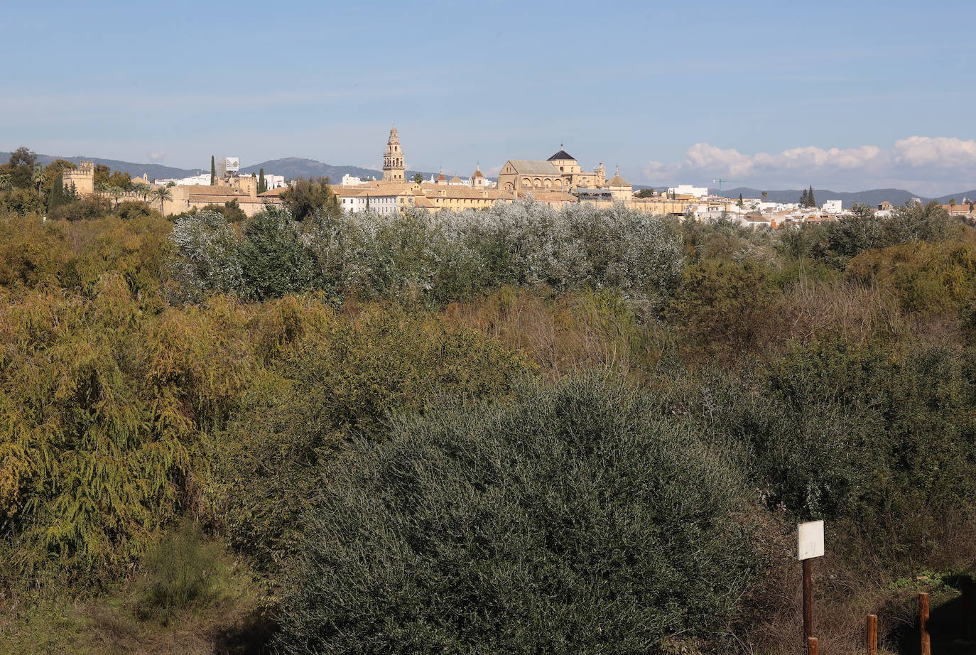 El descuido y la suciedad del Guadalquivir en Córdoba, en imágenes