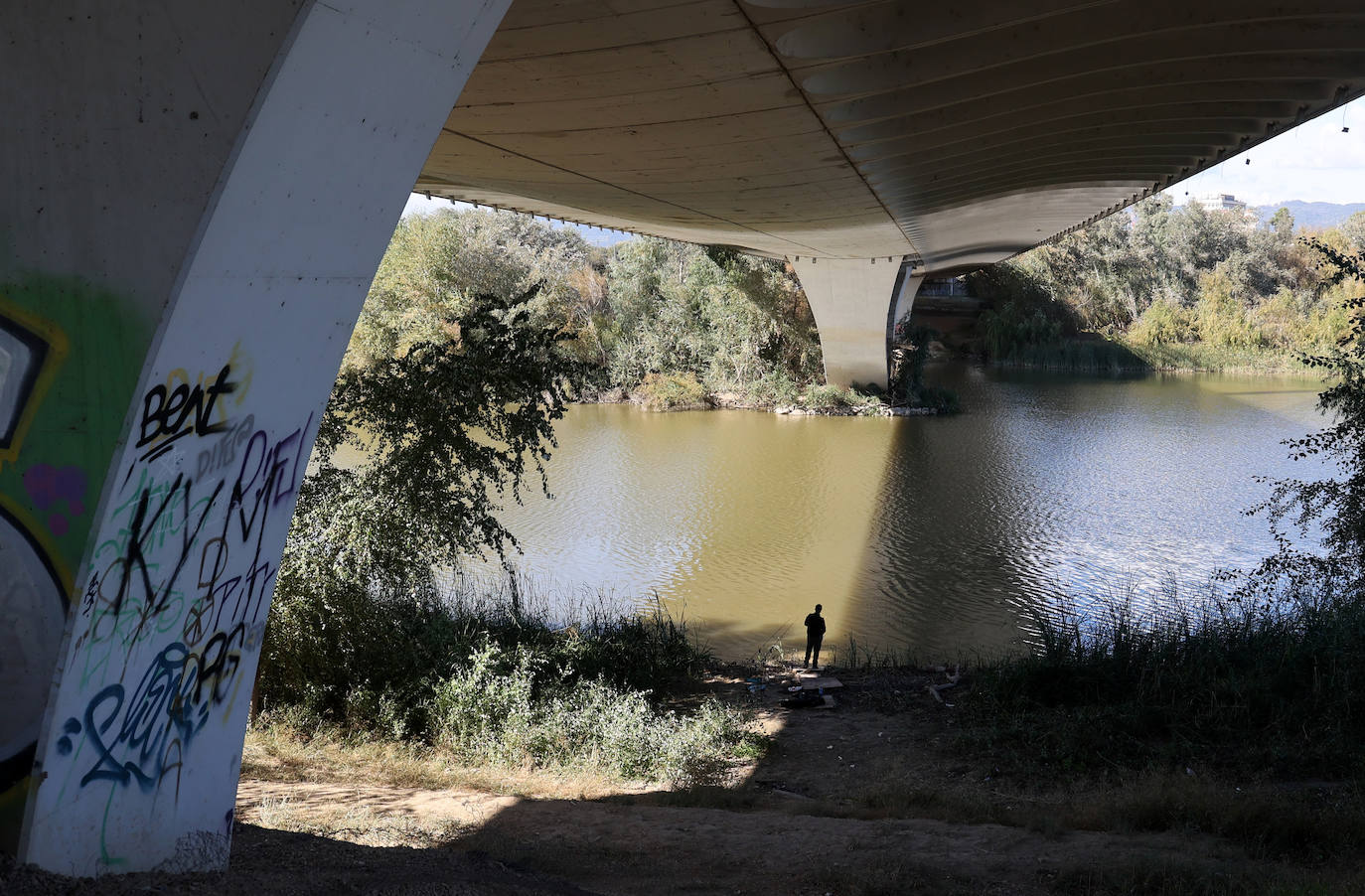 El descuido y la suciedad del Guadalquivir en Córdoba, en imágenes