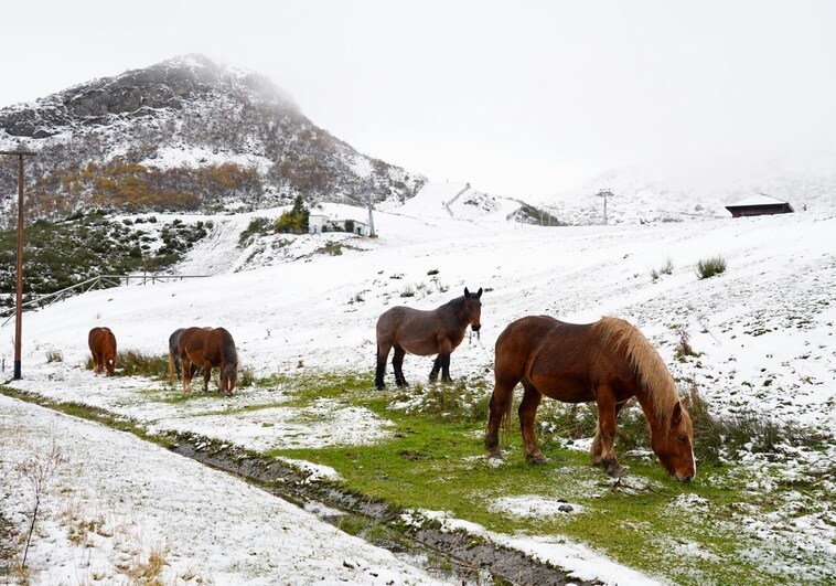 nieve-leon-RJkfdFZ8bNNtkxRaLGBf3EN-758x531@diario_abc.jpeg