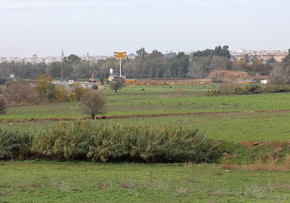 Terrenos entre la A-4 y las Quemadas en los que pasaría la nueva carretera