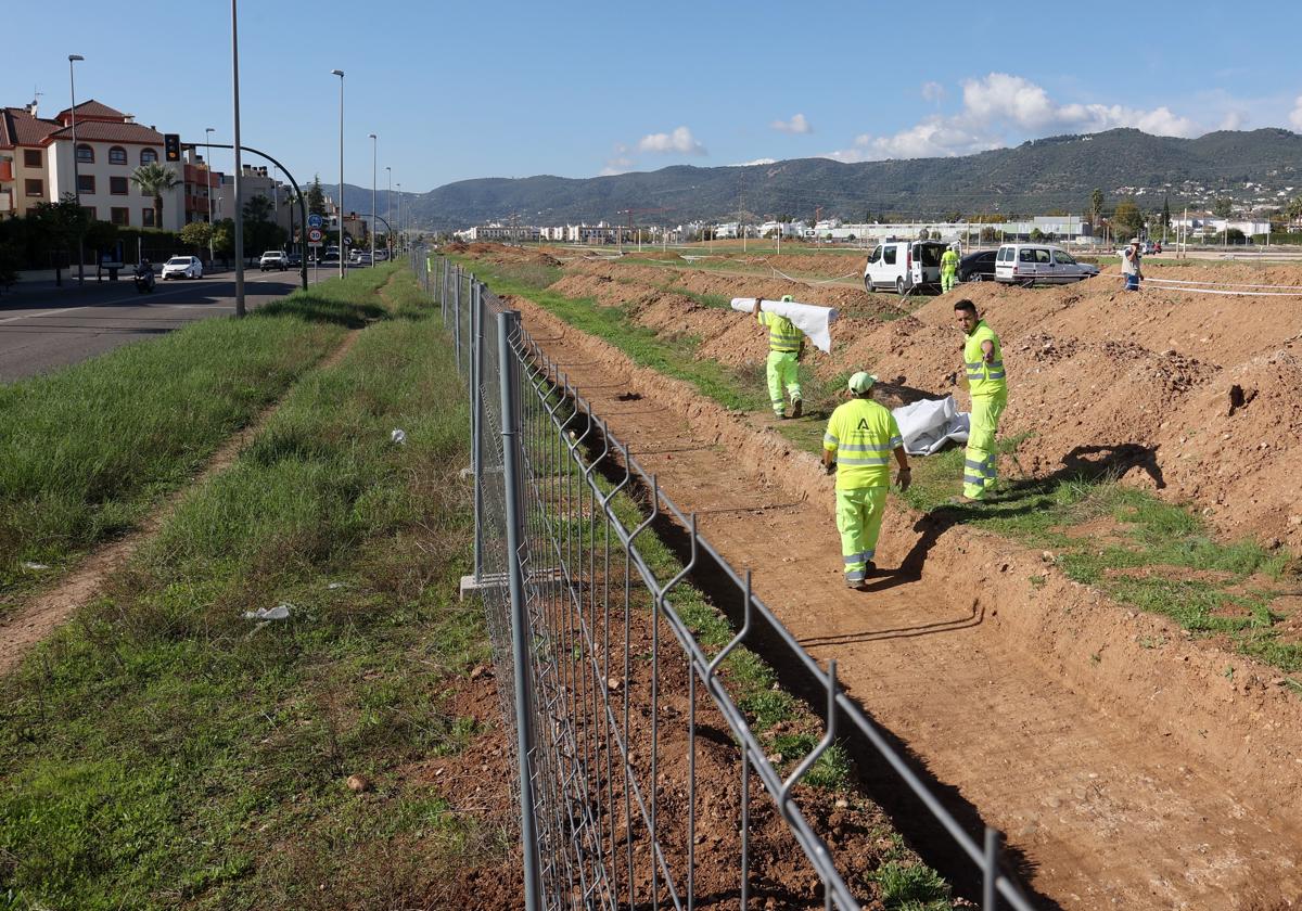 Aspecto que presentan este martes las catas de la primera fase de la Ronda Norte