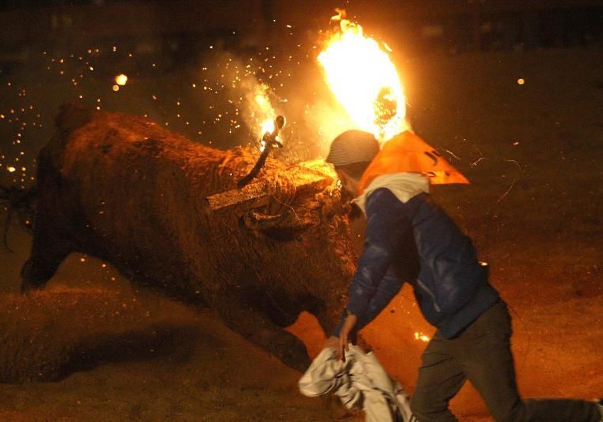 Celebración del Toro Jubilo en Medinaceli en una imagen de archivo