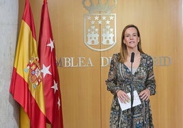 La sanidad pública de Madrid atendió a cien mil inmigrantes irregulares en 2023