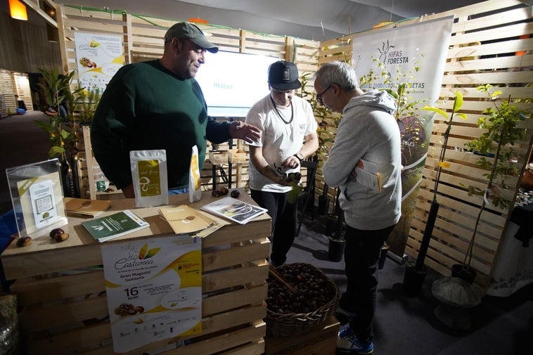 La XV Feria de la Castaña Biocastanea reúne 40 expositores en Carracedelo y prevé la visita de unas 10.000 personas