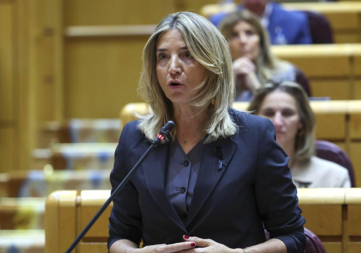 El PP impulsa una ley en el Senado para que las juntas de vecinos puedan ser telemáticas