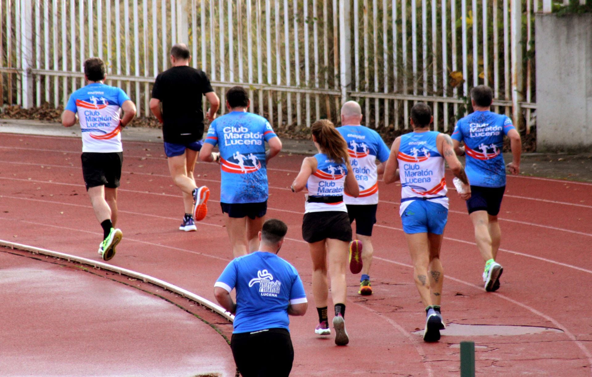 La carrera popular Ciudad de Lucena por la Igualdad, en imágenes