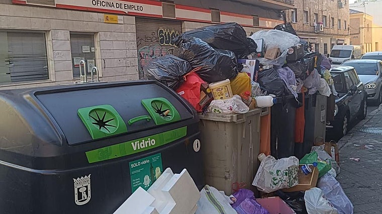 La basura acumulada provoca una plaga de ratas en viviendas y calles de ...