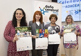 La Diputación apoya el Calendario Solidario de la Asociación de Daño Cerebral Adquirido de Alicante