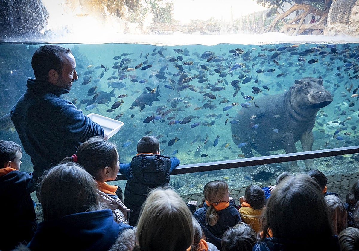 Bioparc Valencia abre las inscripciones para la edición navideña de su escuela de vacaciones &#039;Expedición África&#039;