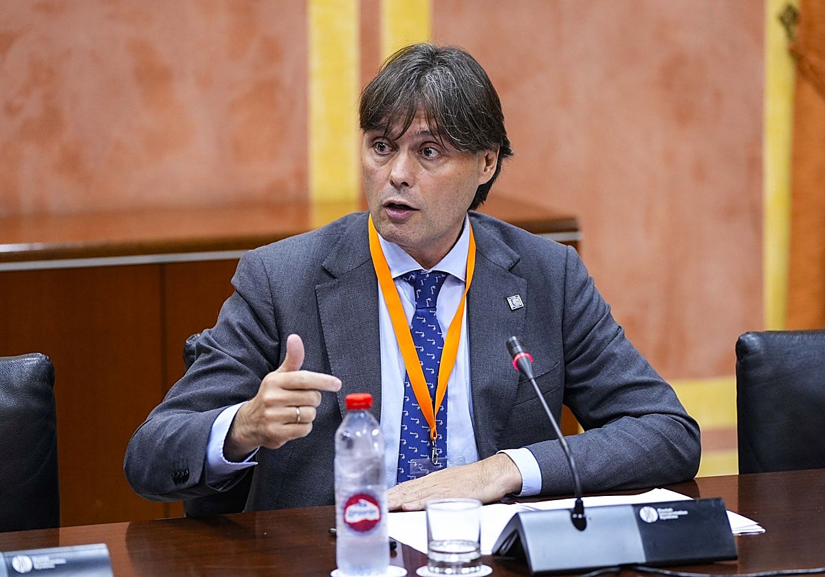 Francisco Oliva, durante su comparecencia en la Cámara como representante de los rectores andaluces