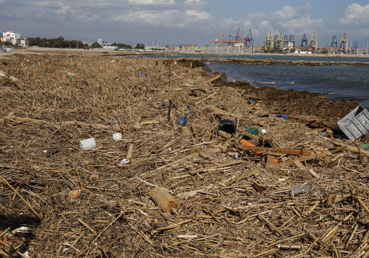 Imagen de la playa de El Saler tras la DANA en Valencia