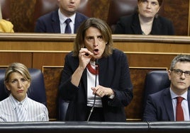 Tensa bronca en el Congreso entre Ribera y el PP por la DANA: «Si se burlan de los avisos de la Aemet, es difícil prepararse para la siguiente calamidad»